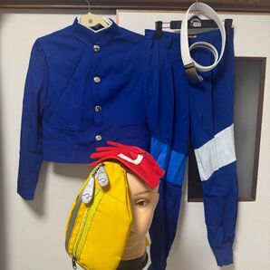 コスプレ ゼイユ pkmnSV ウイッグ衣装