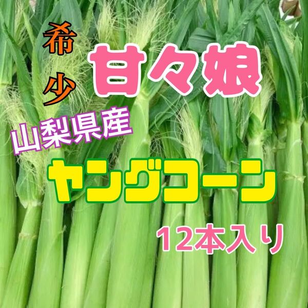 yk40 山梨県産 ヤングコーン ベビーコーン 新鮮 12本入り とうもろこし