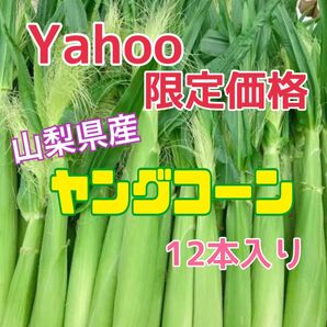 ヤフー限定価格!山梨県産 ヤングコーン ベビーコーン 新鮮 12本入り とうもろこし
