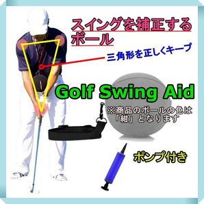 補正ボール 紺 ゴルフ練習器具 スイング フォーム矯正 トレーニング 練習