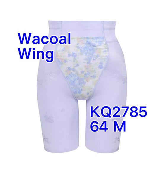 Wacoal ウィング ハミデンヌ ロングガードル 64 M