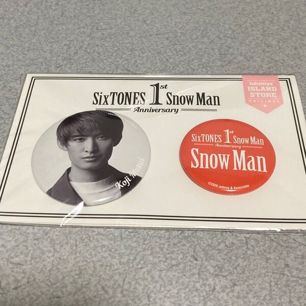 Snow Man 向井康二 Johnnys ISLAND STORE 1st Anniversary 缶バッジ