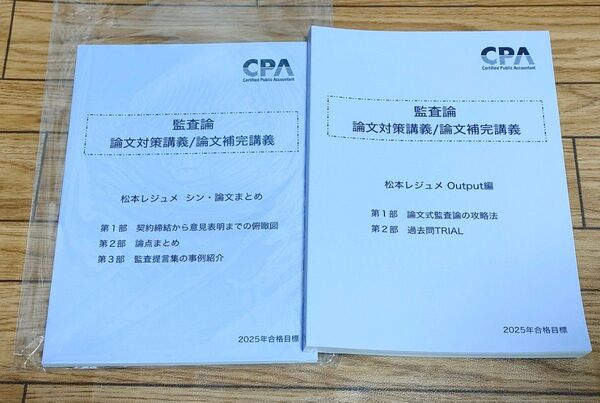 CPA会計学院 論文対策講義 監査論 松本レジュメ
