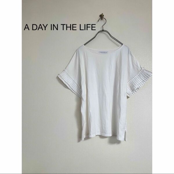 UNITEDARROWS <A DAY IN THE LIFE>プリーツスリーブ ワイドカットソー 半袖 F