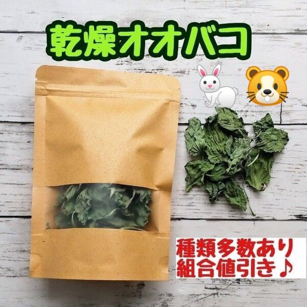 ◆ 乾燥 オオバコ ◆ ◎草食動物 ウサギ チンチラ デグー ハムスター 他