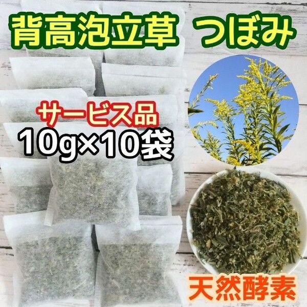 サービス品♪ 乾燥セイタカアワダチソウ 10g×10個 ○増量OK 自然療法