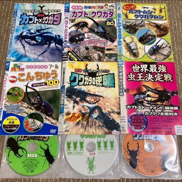 カブトムシ クワガタ 昆虫 DVD 6枚 激闘 知育 動物 虫 虫王 甲虫 対決 世界最強