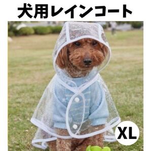 犬用レインコート ペットレインコート カッパ ポンチョ 透明 雨具 XL