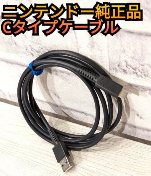 任天堂 純正品 充電ケーブル ニンテンドースイッチ Nintendo Switch 電源ケーブル Cタイプケーブル