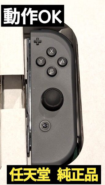 【動作OK】Joy-Con 右 グレー 任天堂 純正品 ニンテンドースイッチ Nintendo Switch コントローラー