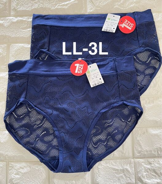 スロギー ゴー オールラウンド レース ヒップスターショーツ2枚LL-3L ネイビー