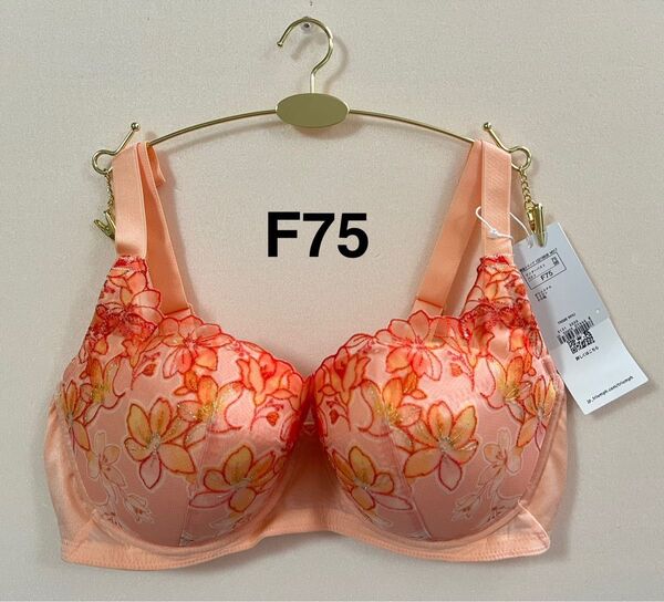 【お買い得】トリンプ 天使のブラ 魔法のハリ感 TR596 オレンジ F75