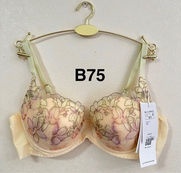 【お買い得】トリンプ 天使のブラ 魔法のハリ感 TR596 イエロー B75