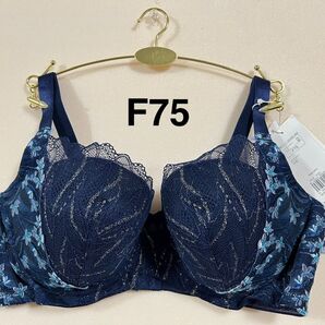 【値下げ】トリンプ 天使のブラ 極上ライト TR594 ネイビー F75
