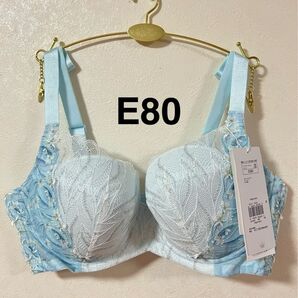 【最後1枚】トリンプ 天使のブラ スリムライン 極上ライト TR594 ブルー E80