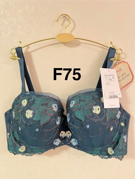 トリンプ プレミアム レッドレーベル TR0104 美しいデコルテ ダークグリーン F75