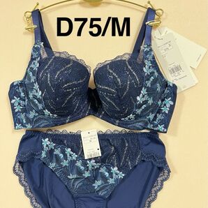 【値下げ】トリンプ 天使のブラ 極上ライト TR594 ネイビー 上下セット D75/M