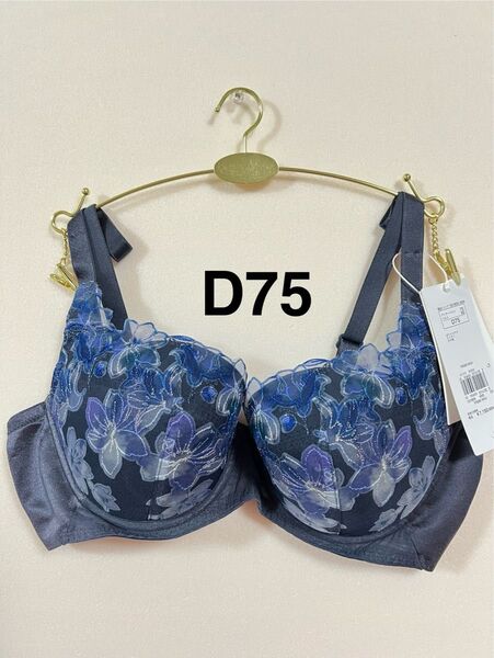 トリンプ 天使のブラ 魔法のハリ感 TR596 ブルーグレー D75