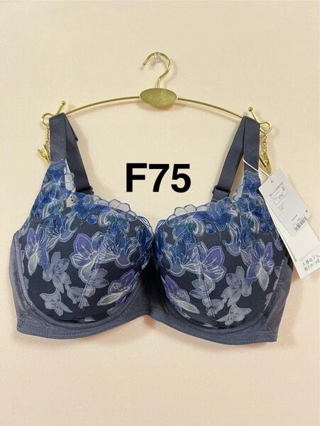 トリンプ 天使のブラ 魔法のハリ感 TR596 ブルーグレー F75