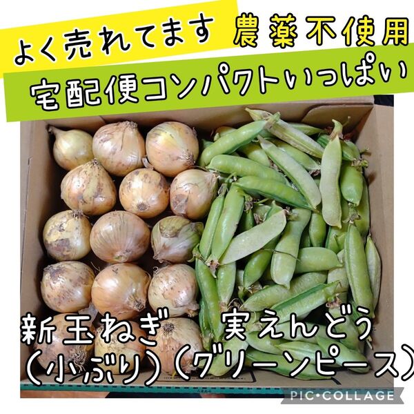 野菜セット 新玉ねぎ えんどう グリーンピース コンパクト