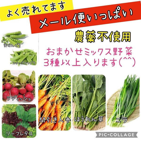 野菜セット おまかせ 農薬不使用 間引き人参 ほうれん草 ラディッシュ えんどう ニラ レタス