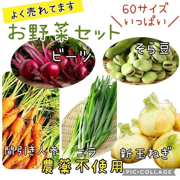 野菜セット 新玉ねぎ 間引き人参 ニラ そら豆 ビーツ 詰め合わせ 農薬不使用