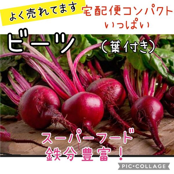 ビーツ 農薬不使用 鉄分豊富 スーパーフード