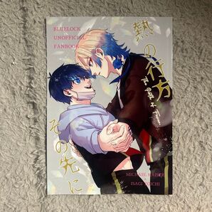 ブルーロック 同人誌 カイ潔 kiis 熱の行方その先に