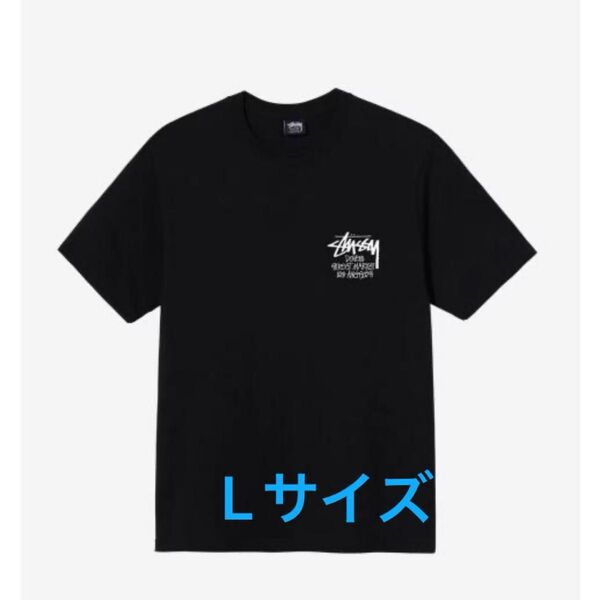 STUSSY tock DSM Los Angeles Tシャツ L
