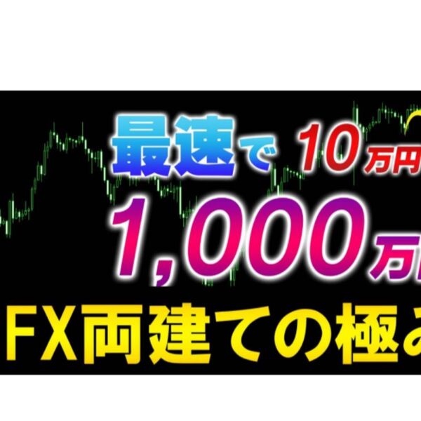 【FX両建ての極み】 FXの両建てによるトレード手法 スマホやMT4でも可能 サインツール不要のスキャルピングやデイトレードの両建