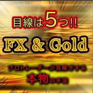 FX 専業トレーダーのFX・ゴールド裁量手法お教えします★