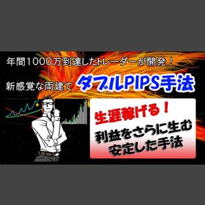 FX 新両建て手法 1トレードで利益80pipsも狙える サインツールを組みわせて両建てするFXのダブルPIPS手法 スキャルピン