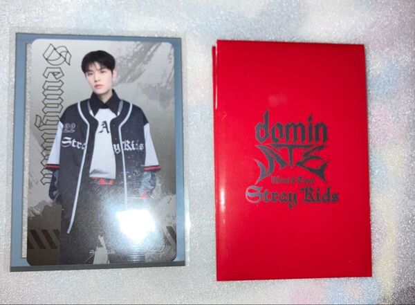 Domin ATE world tour stray kids ランダムフォットカード スンミン