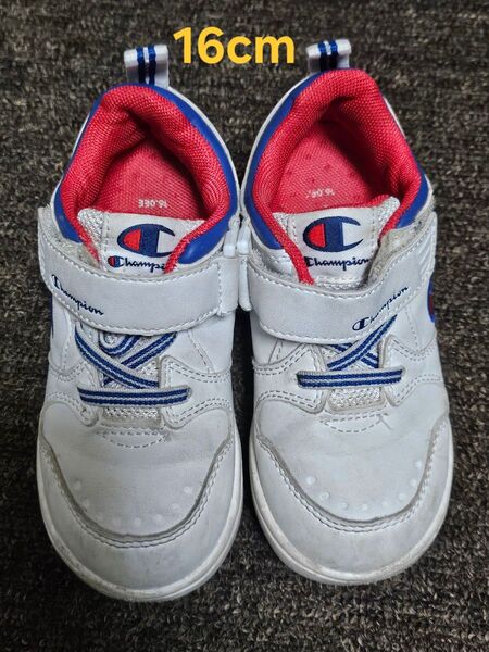 Champion ベビー キッズ シューズ 16cm