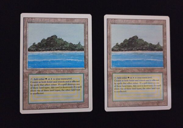 MTG Tropical Island トロピカルアイランド 英 2枚セット