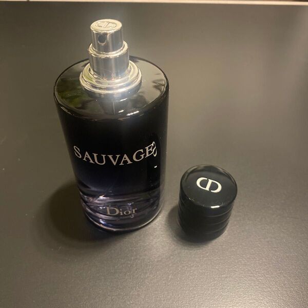 Dior SAUVAGE ディオール ソバージュ オードゥトワレEDT 100 香水 メンズ SAUVAGE オードトワレ