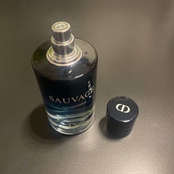クリスチャン ディオール ソヴァージュ EDP Dior SAUVAGE 100ml 香水 オードパルファム
