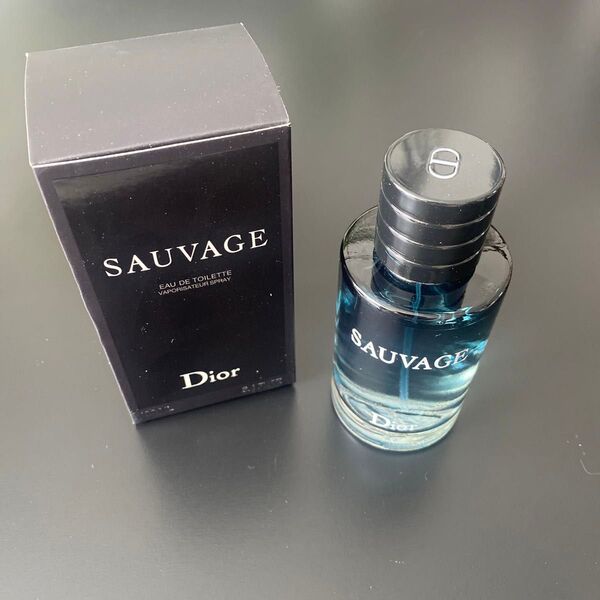 Dior SAUVAGE ディオール ソバージュ オードゥトワレEDT 100 香水 メンズ