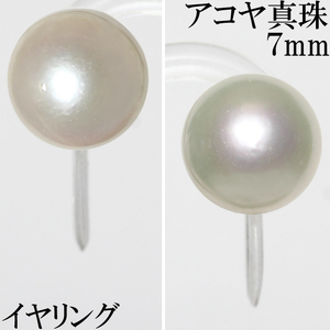 綺麗 スマート☆アコヤ真珠 約7mm 7ミリ イヤリング K14WG アコヤ パール フォーマル♪