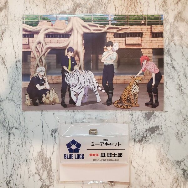 ブルーロック ブルロ 凪誠士郎 潔世一 千切豹馬 糸師凛 東武動物公園コラボ ポストカード お名前バッジ ネームタグ 名札