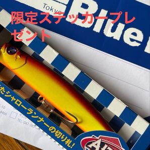 ブルーブルー新製品 アイザー100F未使用品応募券あります。尚ブルーブルーステッカープレゼント。
