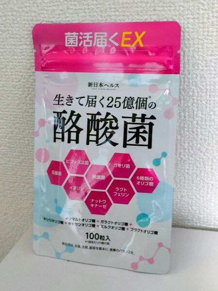 【新品未開封】酪酸菌 25億個 短鎖脂肪酸 乳酸菌 ビフィズス菌 サプリ