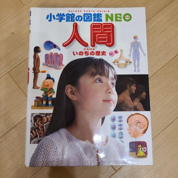 人間 いのちの歴史 (小学館の図鑑NEO 13) 松村譲児/〔ほか〕指導・執筆 今崎和広/ほか画 月本佳代美/ほか画