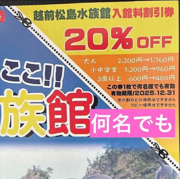 越前松島水族館入館料割引券20%OFF 何名様でも有効 福井県 水族館
