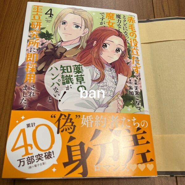 「赤毛の役立たず」とクビになった魔力 4 (花とゆめコミックス) 糸加