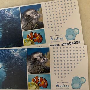 江ノ島水族館招待券 2枚セット