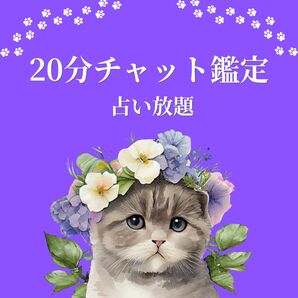 20分間占い放題*チャット鑑定*深堀り*タロット、ルノルマン、数秘術