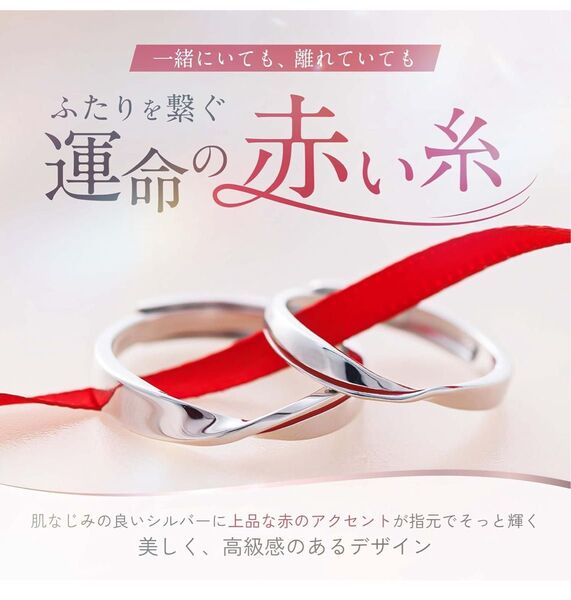 【未開封新品】ペアリング フリーサイズリング 指輪 シルバー(S925) 製 ネックレス【チェーン付き】