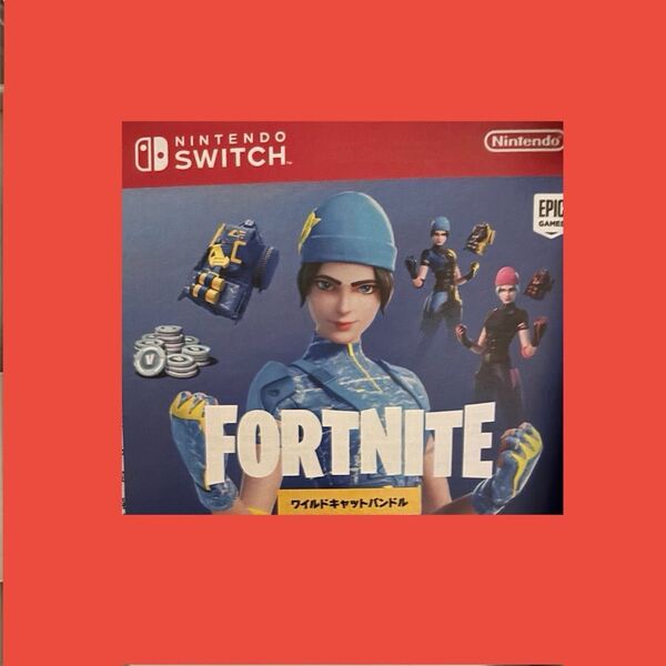 週末価格【未使用品】フォートナイト 特典コード用紙 任天堂 Switch