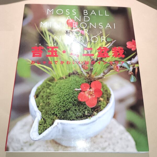 苔玉・ミニ盆栽 おしゃれでかわいい緑のインテリア 砂森聡/監修